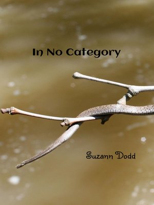 cover image of In No Category